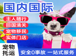 观音航空物流国际宠物托运 【国